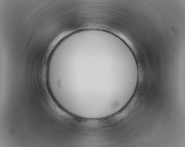 X0000114091094200910051205