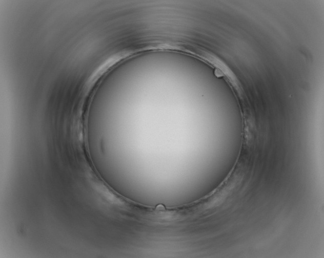 X0000114091096200910051205