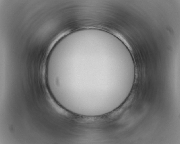 X0000114091098200910051205