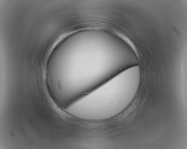 X0000114091099200910051205
