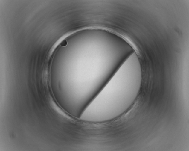 X0000114091100200910051205