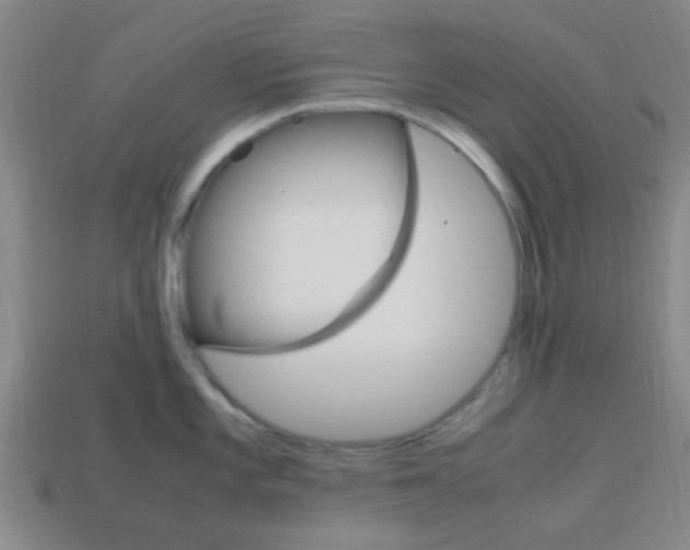 X0000114091101200910051205