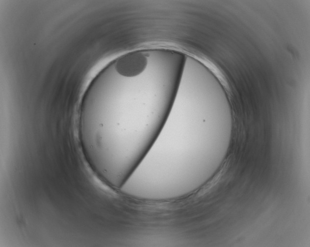 X0000114091102200910051205
