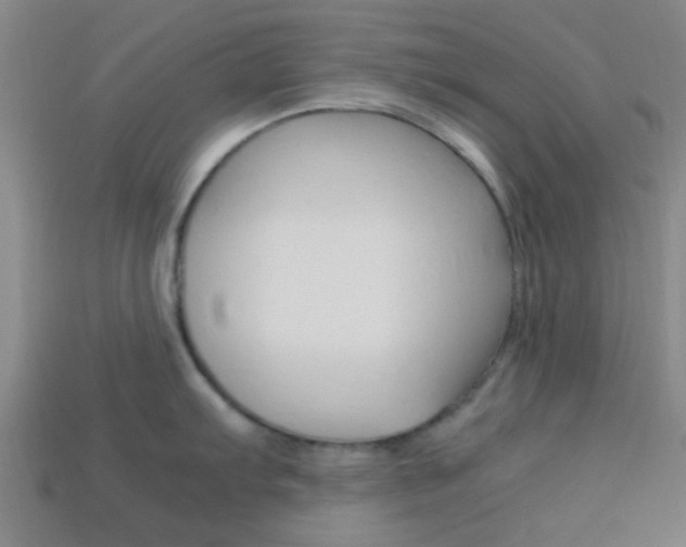 X0000114091103200910051205
