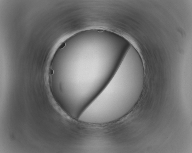 X0000114091104200910051205
