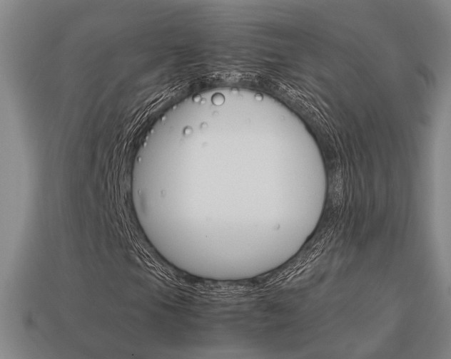 X0000114091105200910051204