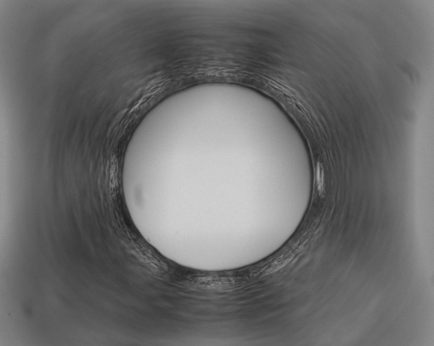 X0000114091107200910051204