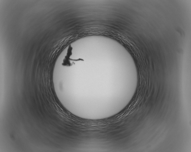 X0000114091108200910051204