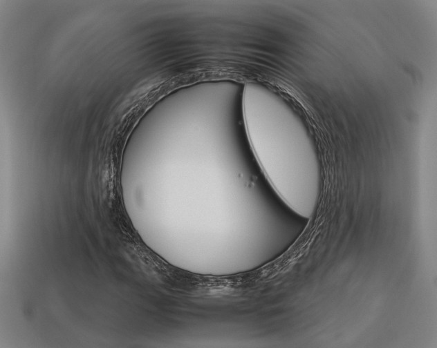 X0000114091111200910051204