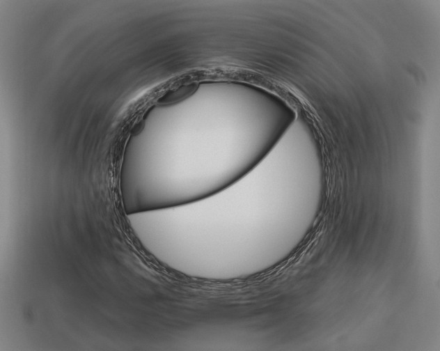 X0000114091112200910051204
