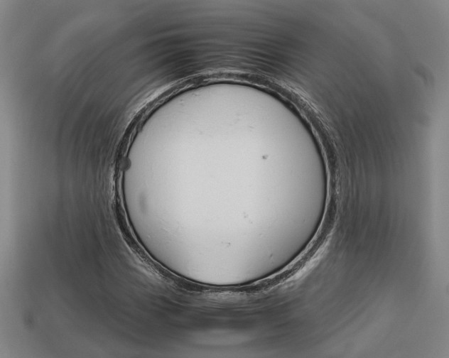 X0000114091113200910051204