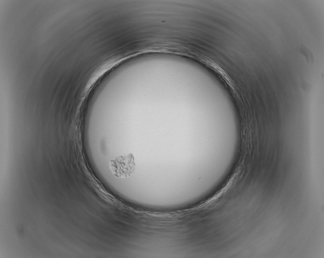 X0000114091114200910051204