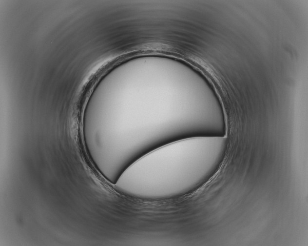 X0000114091115200910051204