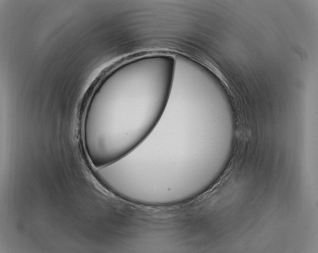X0000114091116200910051204