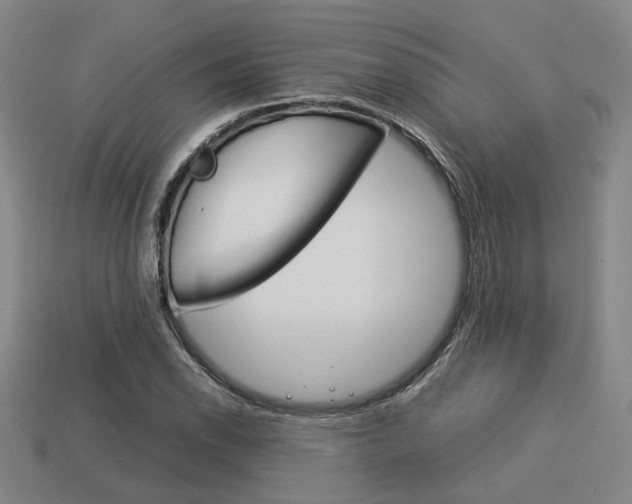 X0000114091118200910051204