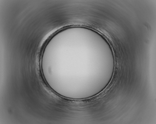 X0000114091120200910051204