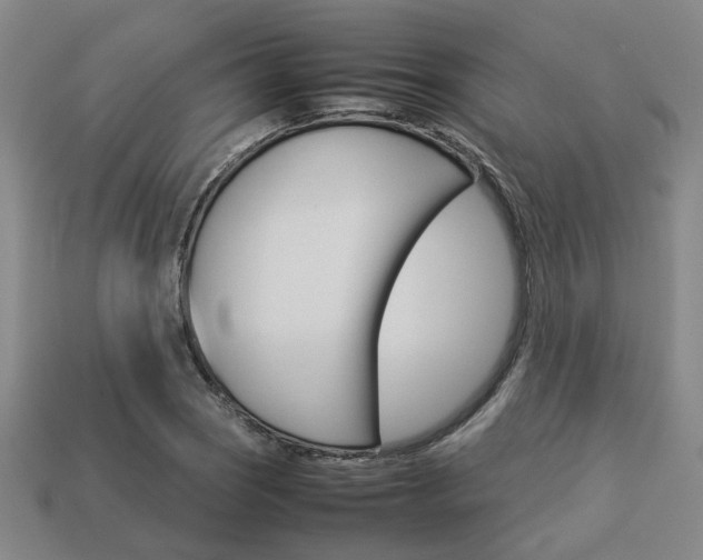 X0000114091121200910051204