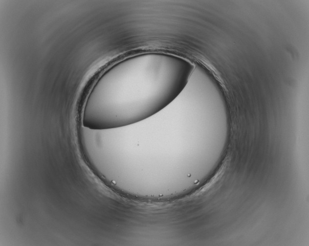 X0000114091122200910051204