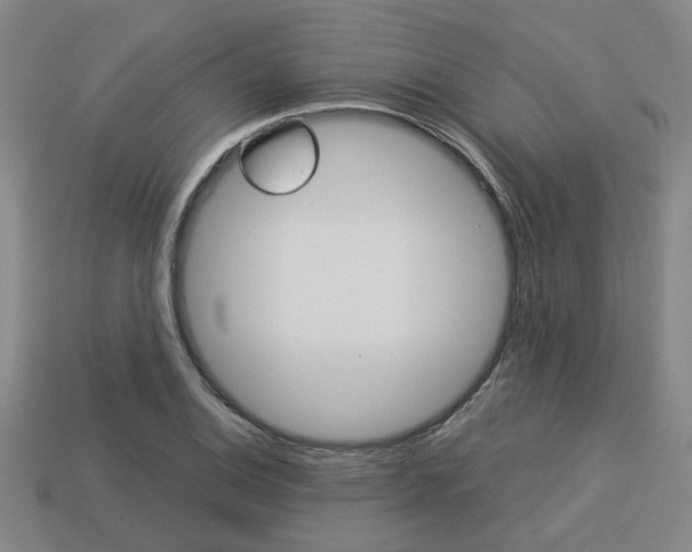 X0000114091124200910051204