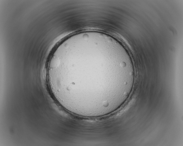 X0000114091125200910051204