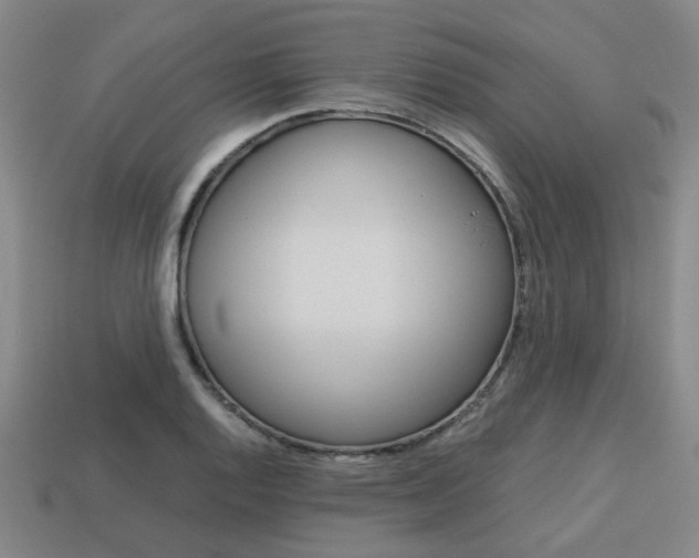 X0000114091128200910051204