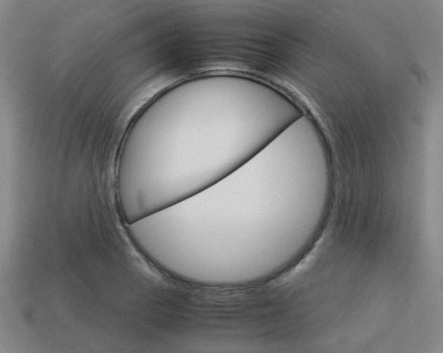 X0000114091129200910051204