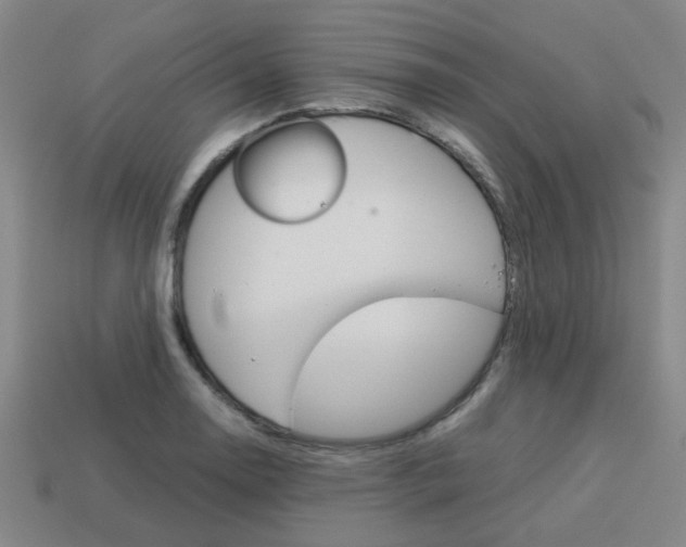 X0000114091130200910051204