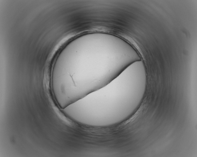 X0000114091131200910051204