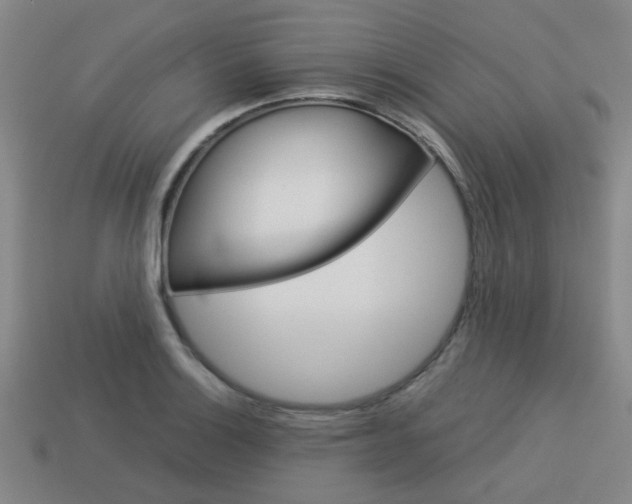X0000114091132200910051204