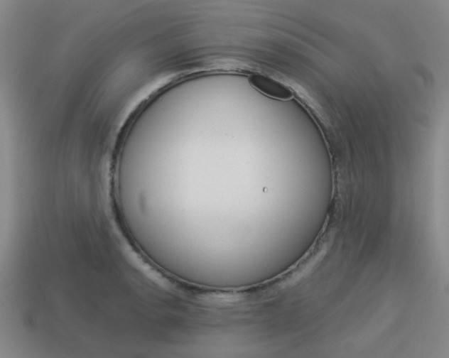 X0000114091134200910051204