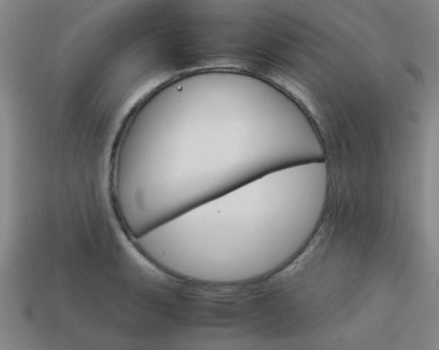 X0000114091135200910051204