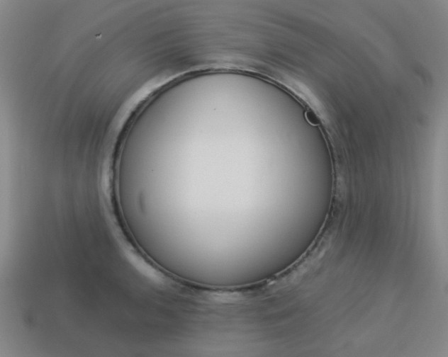 X0000114091136200910051204