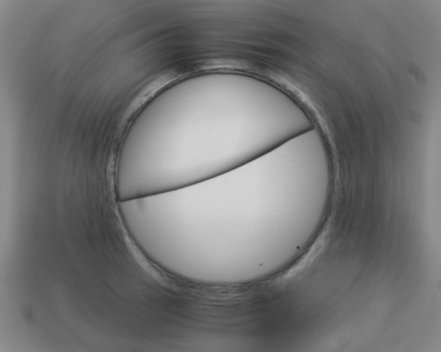 X0000114091137200910051204