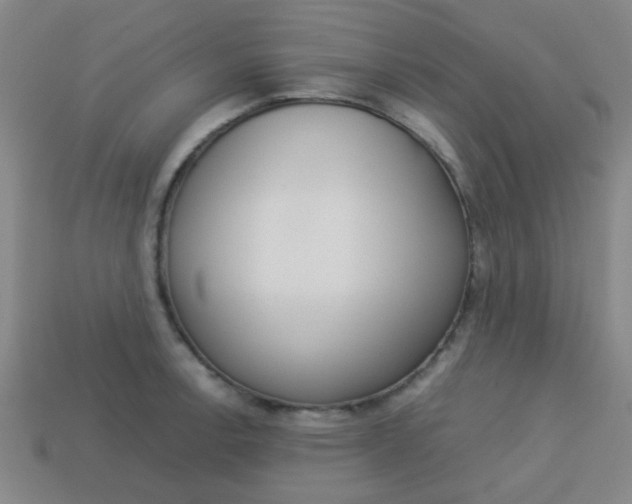X0000114091138200910051204