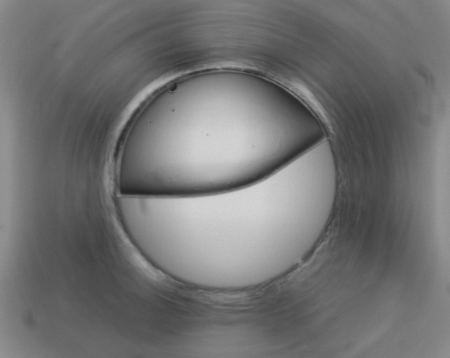 X0000114091140200910051204