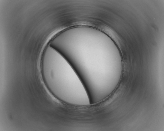 X0000114091141200910051204