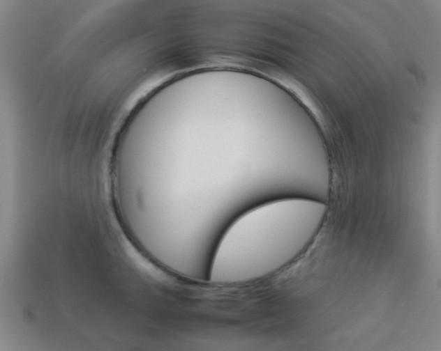 X0000114091143200910051204