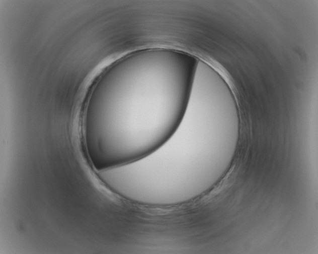 X0000114091144200910051204