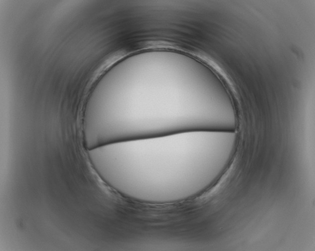 X0000114091145200910051204