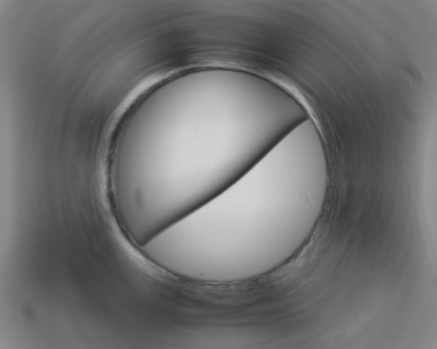 X0000114091147200910051205