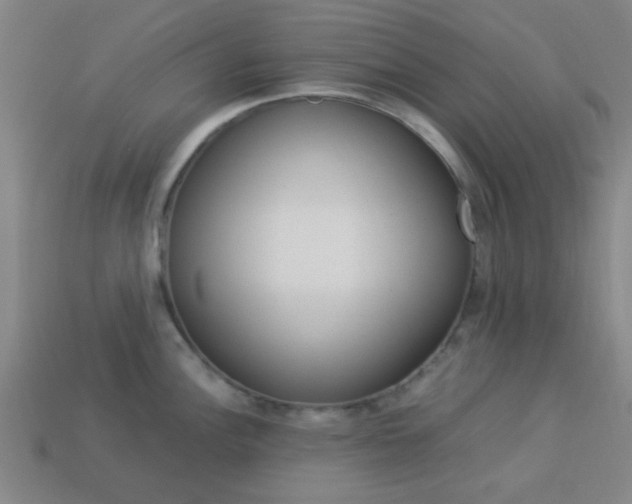 X0000114091148200910051205