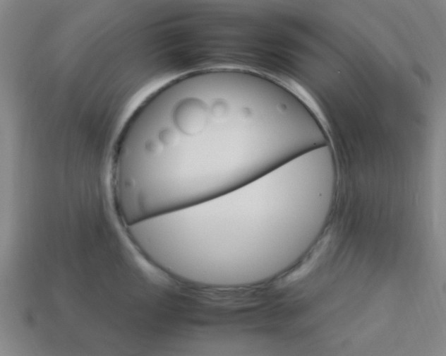 X0000114091149200910051205