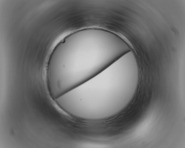 X0000114091151200910051205