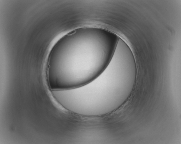 X0000114091152200910051205