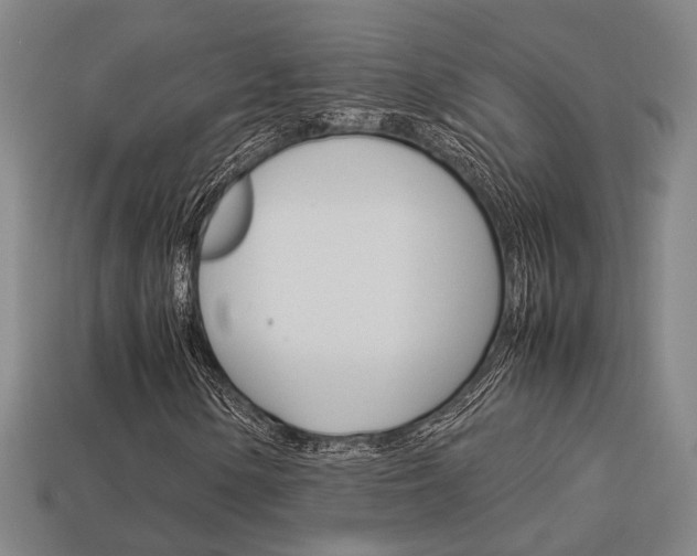 X0000114091154200910051204