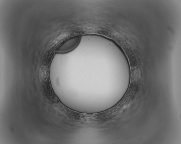 X0000114091157200910051204