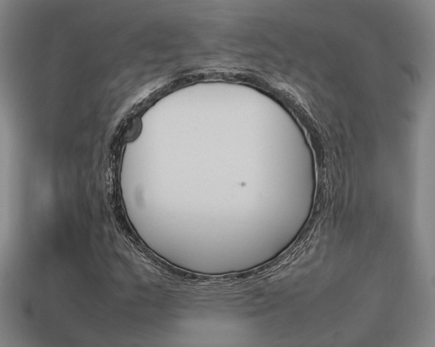 X0000114091159200910051204