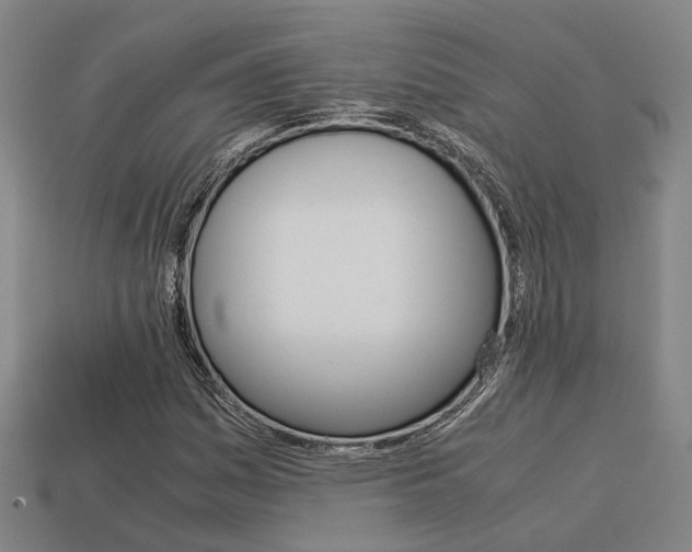 X0000114091161200910051203