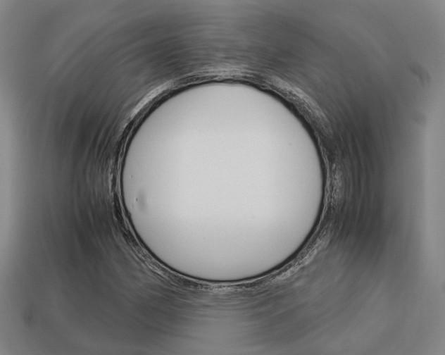 X0000114091162200910051203