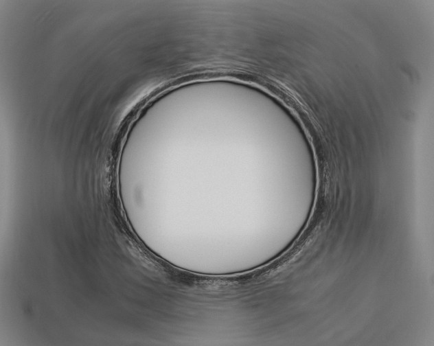 X0000114091163200910051203